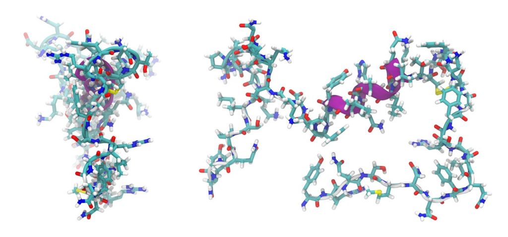 Peptide.
Whey Hydrolysat ist aus kürzeren Peptidstrukturen zusammengesetzt.