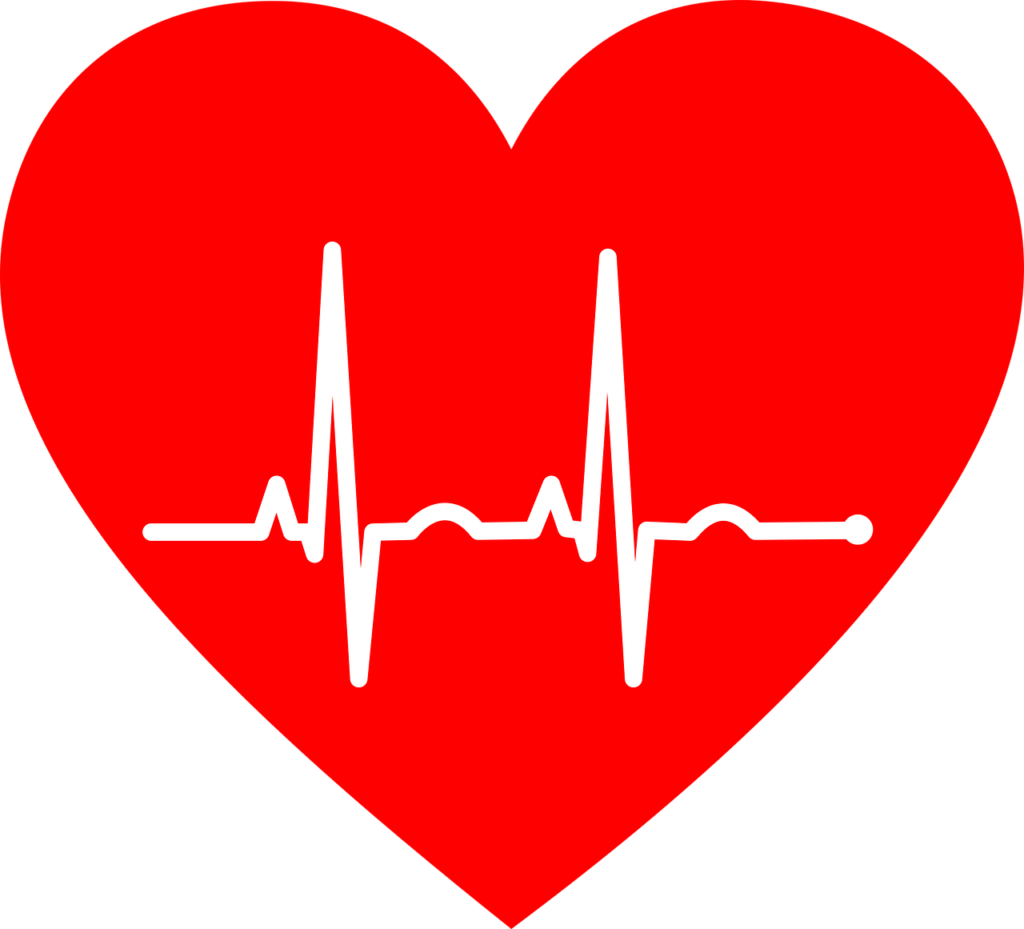 Herz mit EKG.
Die Kreatineinnahme ist sehr sicher