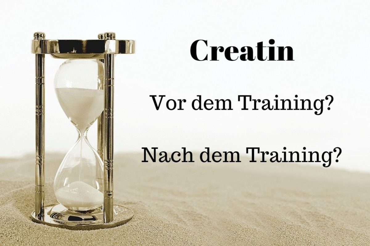 Wirkt Creatin vor dem Training oder nach dem Training besser?