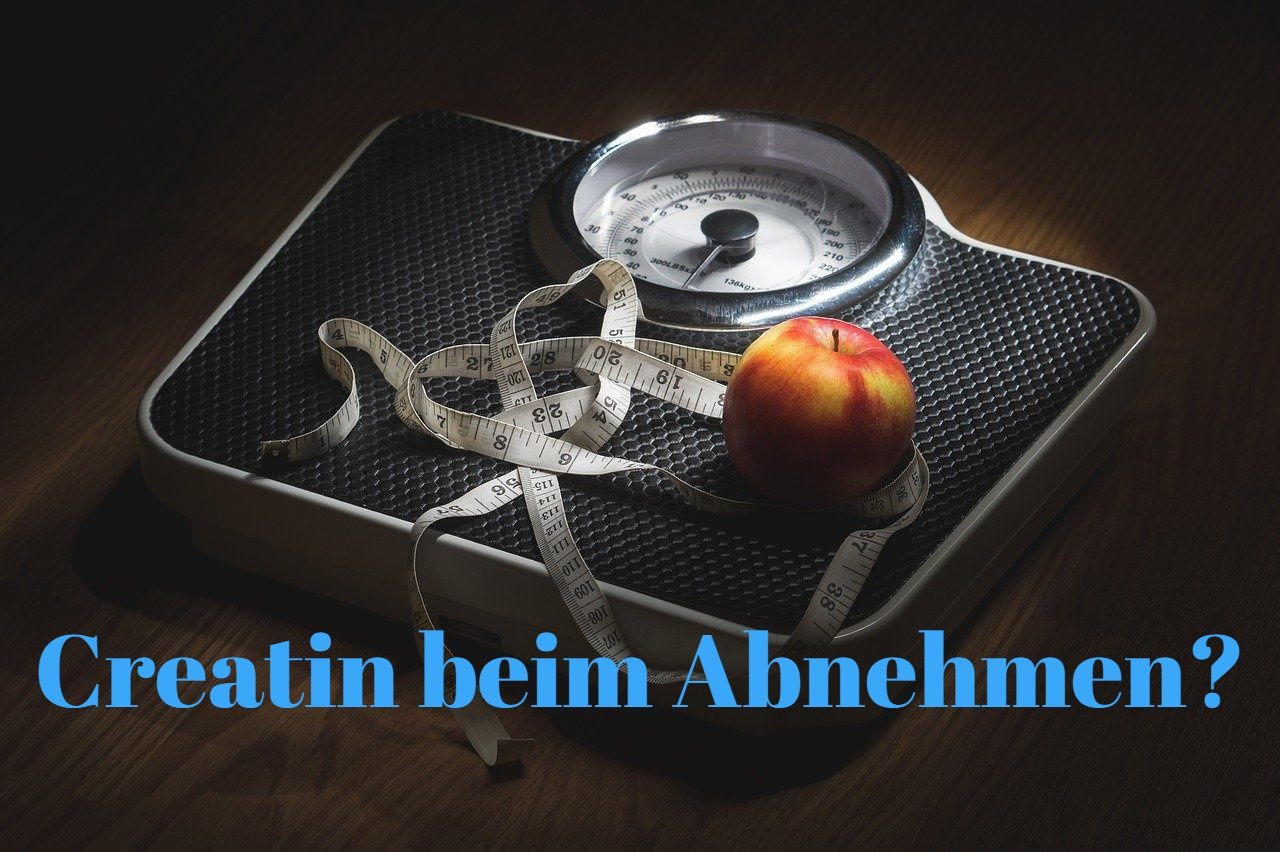 Kann Man Mit Creatin Abnehmen fit-8.com